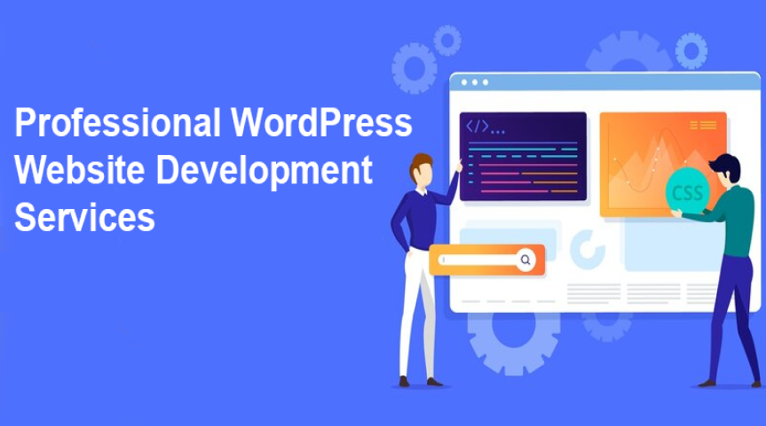 The ROI of Professional WordPress Development