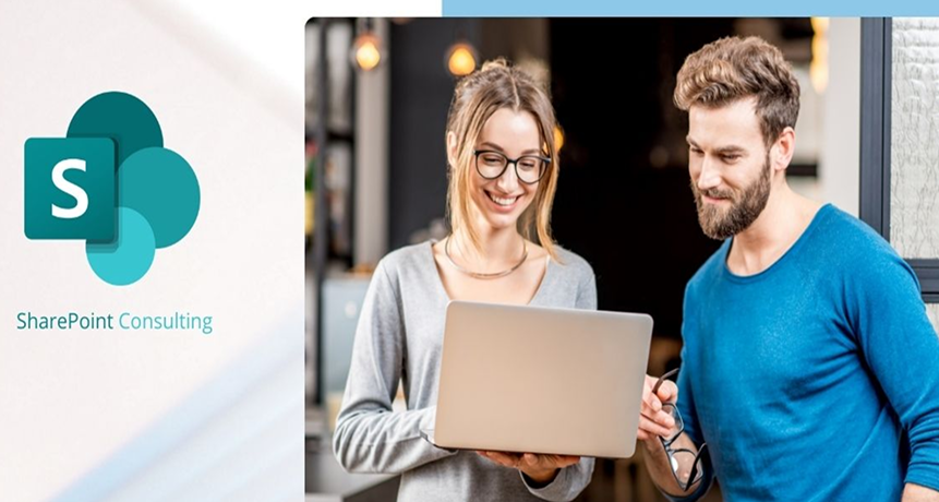 Why Choose Professional SharePoint Consultants