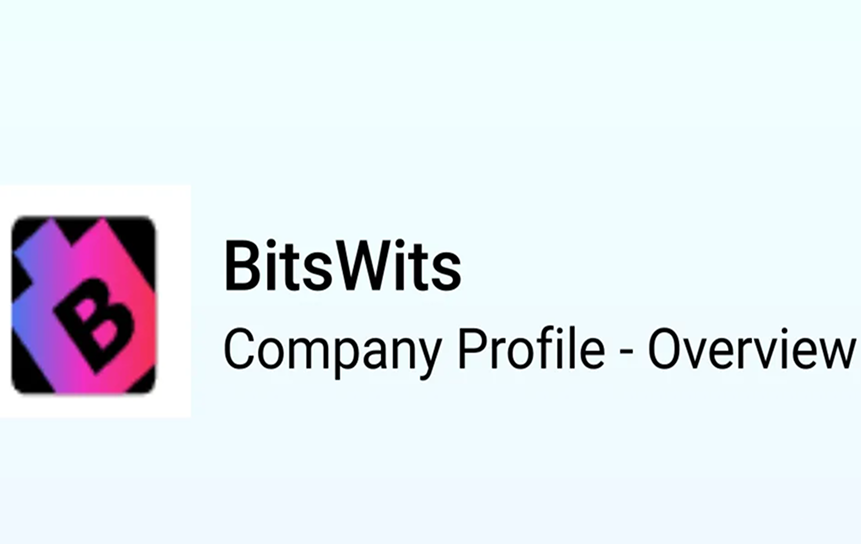 BitsWits