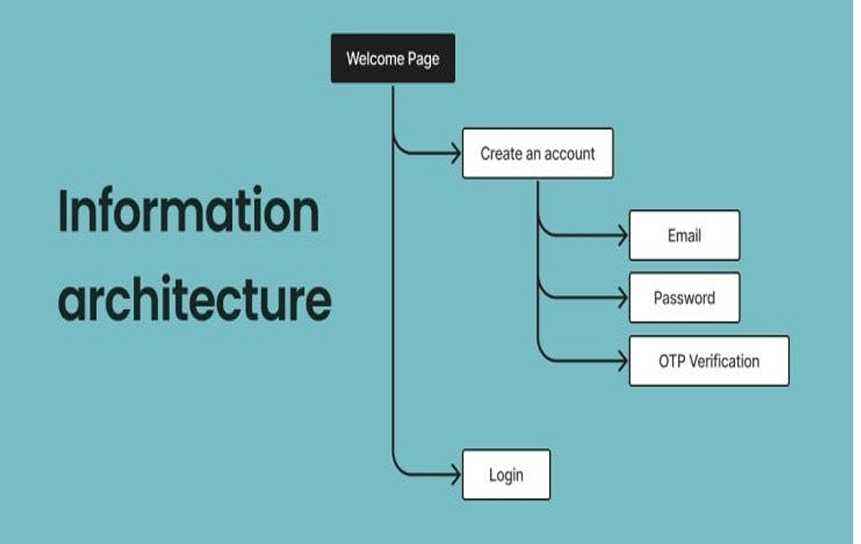Information Architecture & UX Design