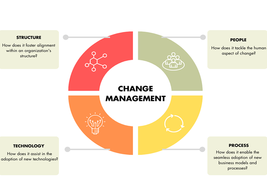 No Adoption & Change Management Strategy
