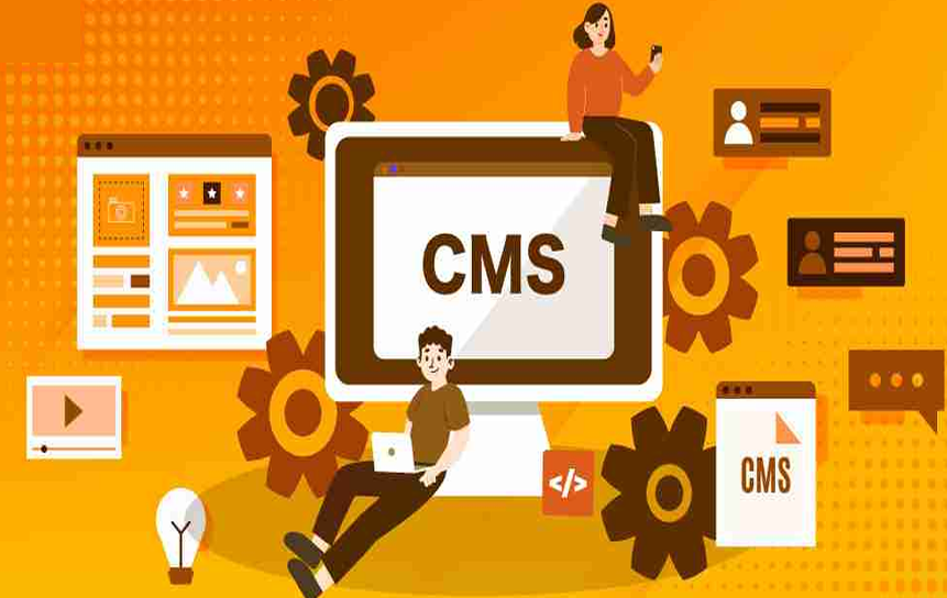 Support and Case Management