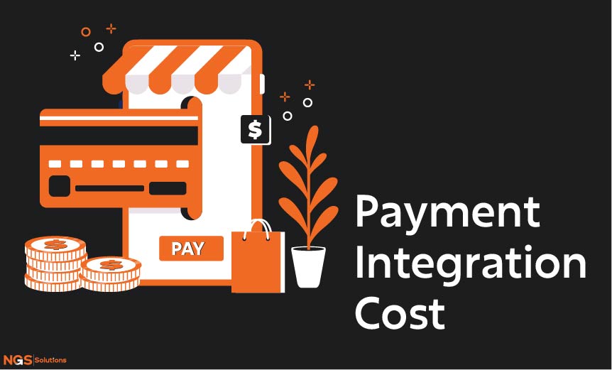 Payment Integration Cost